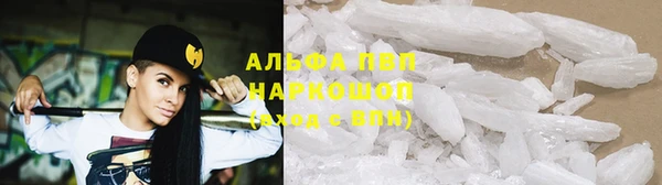 гидра Осинники