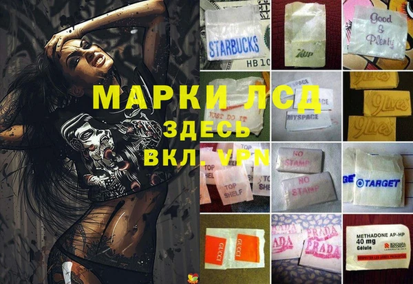 гидра Осинники