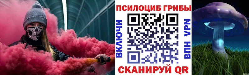 сколько стоит OMG Псилоцибиновые грибы MAGIC MUSHROOMS Когалым