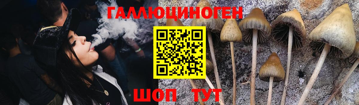 Галлюциногенные грибы MAGIC MUSHROOMS  Когалым 